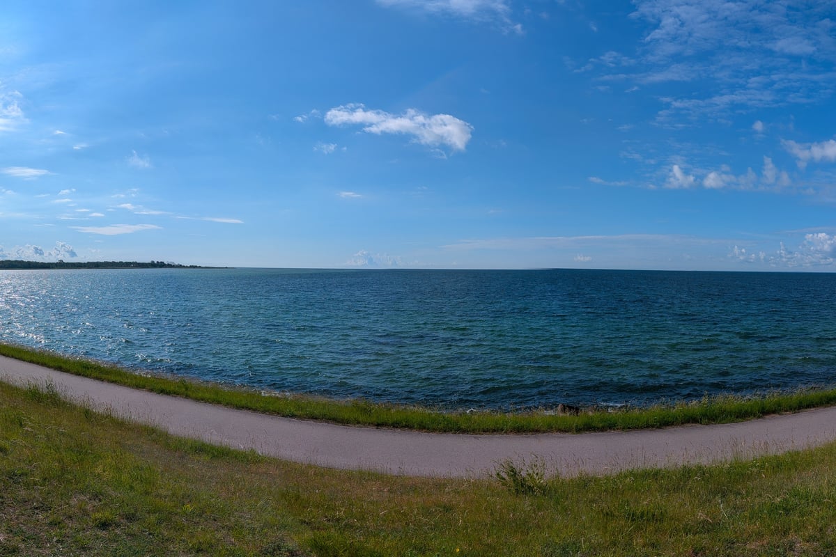Panoramic view along the dyke at Kalvebod Fælled, with a gravel path between green wetlands and coastal water beneath a wide blue sky.